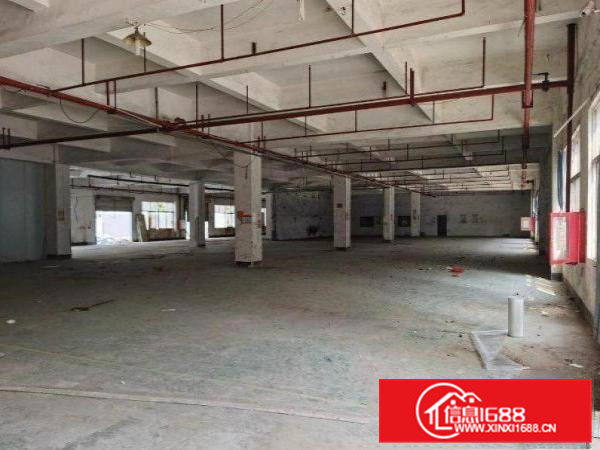 树田工业区原房东2万厂房300平方分租一楼仓库可办环评