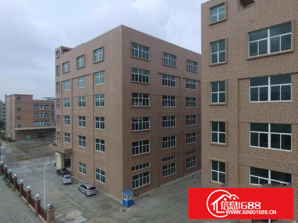 大湾区中心、政府补贴、广州南沙5500方厂房出租