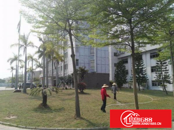 大亚湾1200平一楼厂房出租带办公精装