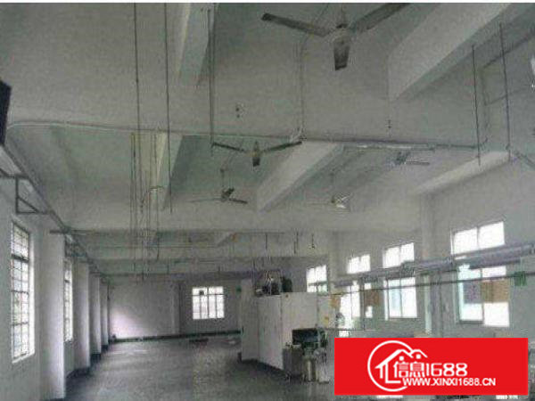 平湖鹅公岭标准厂房一楼1100平米九成新招租