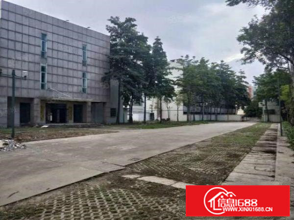 桥头镇新出超大空地标准独院厂房16000平方任意分租