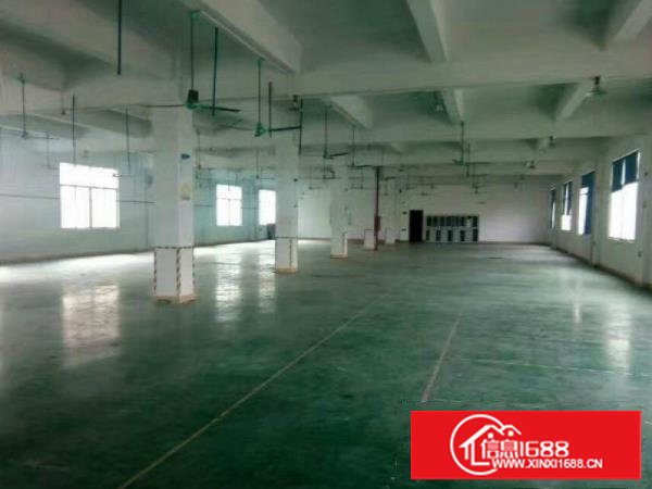 塘厦沙湖一楼668平方厂房出租现成主线