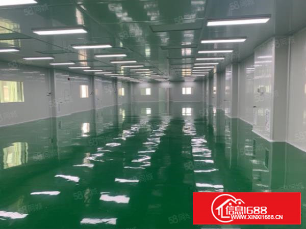 塘厦近深圳全新4500平千级无尘车间出租，可分租精装修近高速