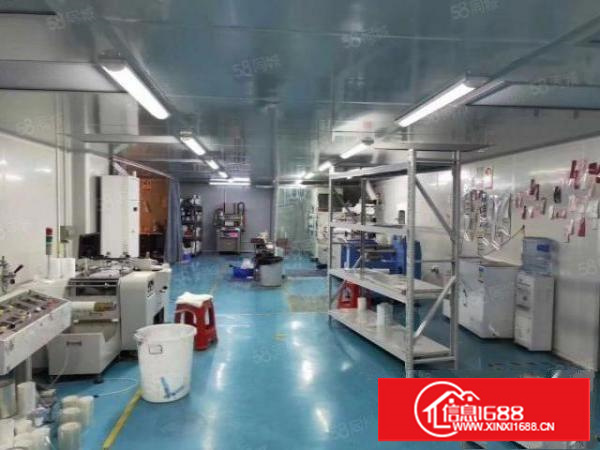 出租|万江标准厂房500平原房东