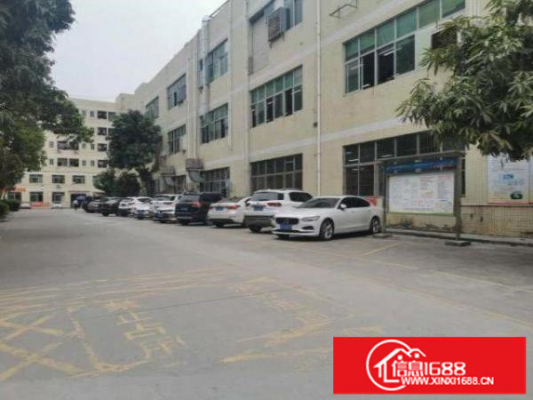 大布头1楼厂房2500平方租30一平