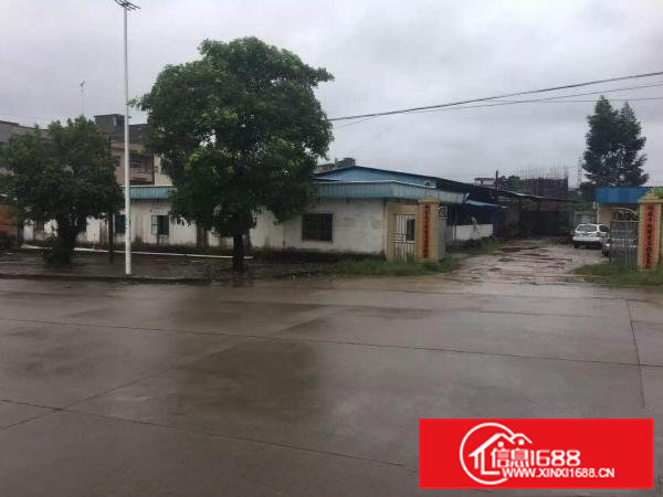 常平镇新出独院单一层铁皮650平米有宿舍