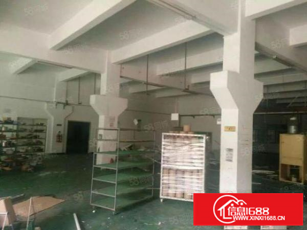 凤岗原房东独院厂房5000平方（可分层租）