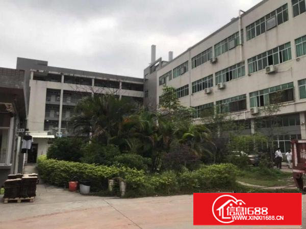 大朗富民工业城空出一楼1450平，高六米，带行车带办公室装修