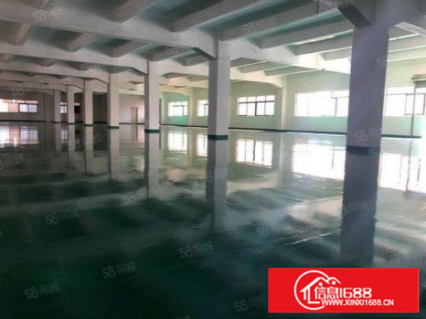 塘厦凤凰岗新出标准2楼1600平方出，现成装修，全新地坪漆！