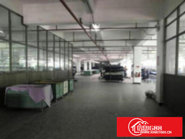 高埗标准一楼1580平方招租带办公室装修