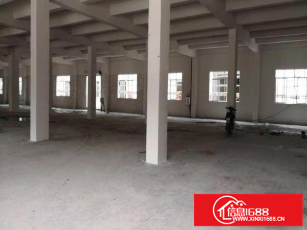 清溪浮岗全新独栋4600平米出租