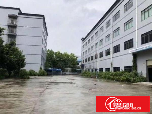 丹灶祥泰路出租1楼1800平厂房水电齐全