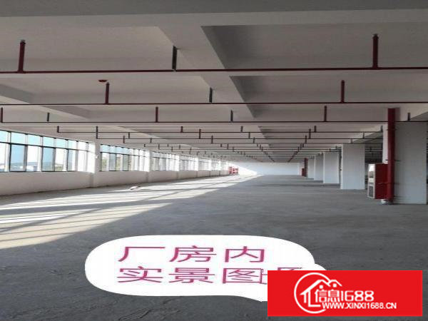 横岗全新独院厂房（红本）