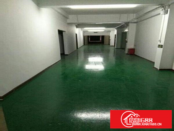 丹竹头地铁站全新特价厂房800平米