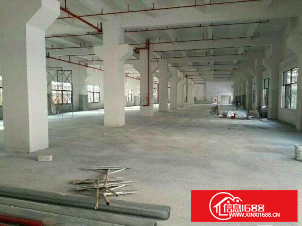 石涌工业区标准厂房一楼1100平米原房东厂房