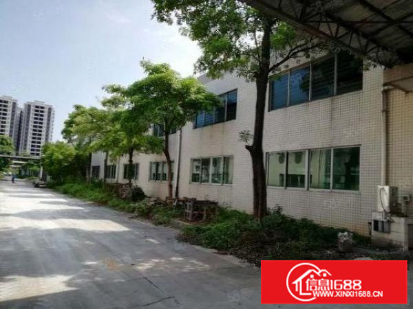 桥头东江新出原房东全新单一层钢结构8000平方滴水10米