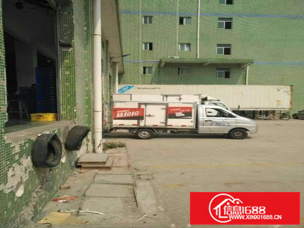 坪山大工业区附近新出冷库4200平