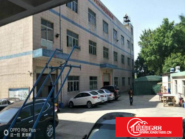 邻近新生带装修厂房1楼2楼每层1300平方出租