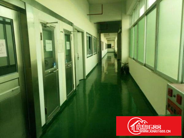 大岭山带豪华装修二楼3000平方有3吨电梯