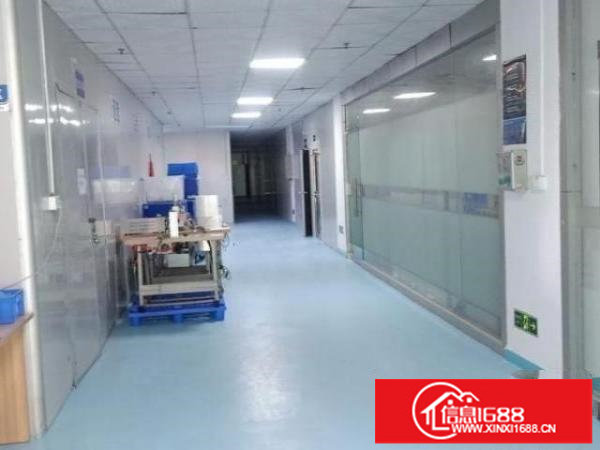 福永天瑞工业园无尘车间4400平方米，全新装修，带办公室
