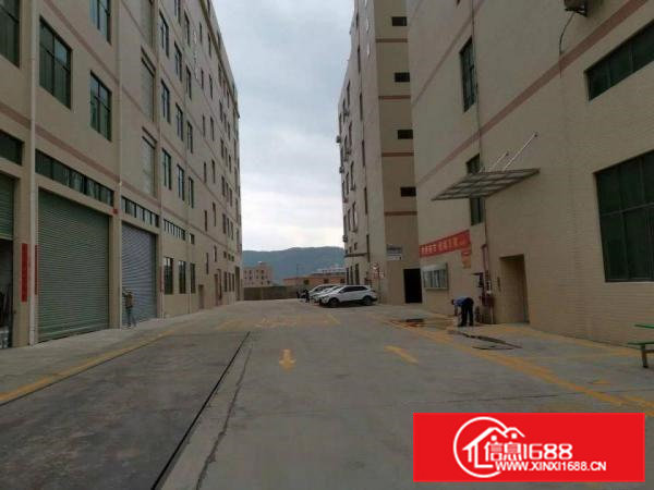 清溪武深高速出口一公里全新厂房地出租，全新地坪漆