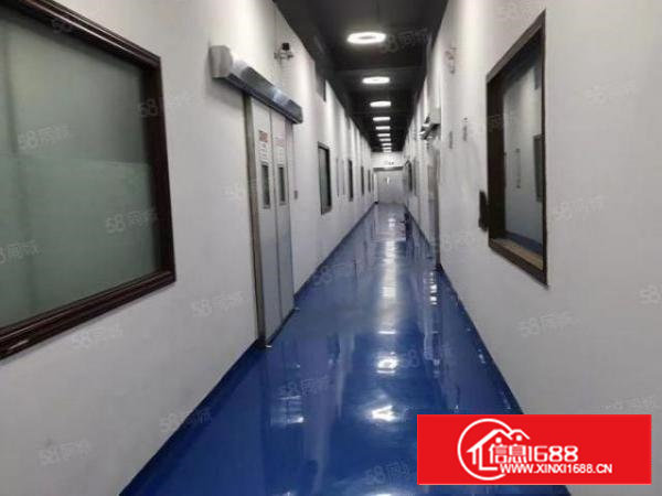 出租石岩塘头物流园楼上带豪华装修3900平