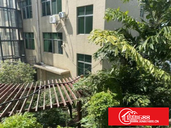 横岗独门独院花园式厂房9000平方米