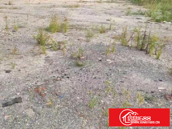 出租龙华空地3000平方