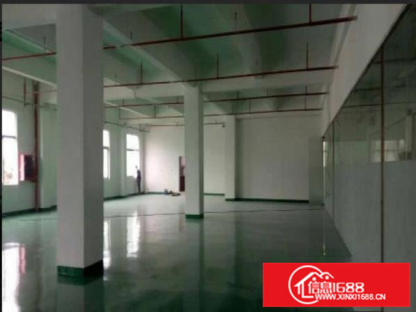 常平镇新出标准厂房3层共4800平方