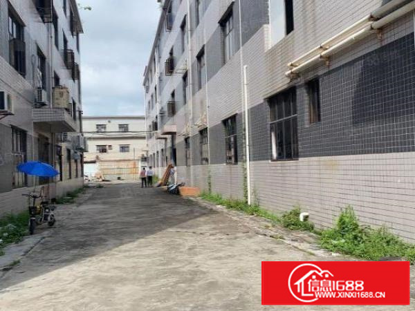 凤岗独院厂房出租5000平独立大院可分租面积不限价格实惠