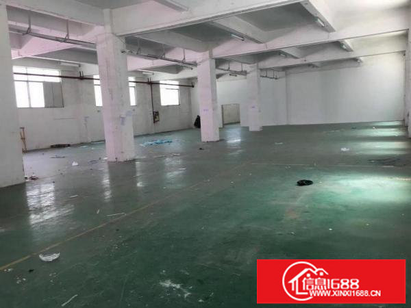 坂田科技园一楼厂房120平方400平方1350平方