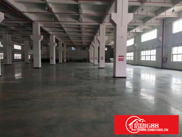 塘厦龙背岭原房东直租标准1楼1700平方！可分租现成水电装修