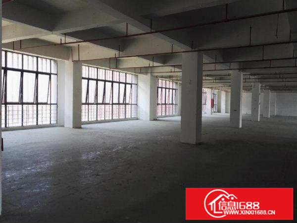 坪山坑梓908平米高5.8米标准厂房火爆招租