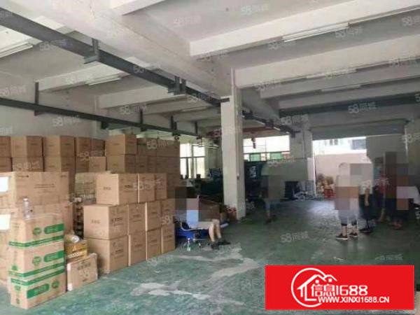 企石霞朗村出租自带行车厂房一楼250方