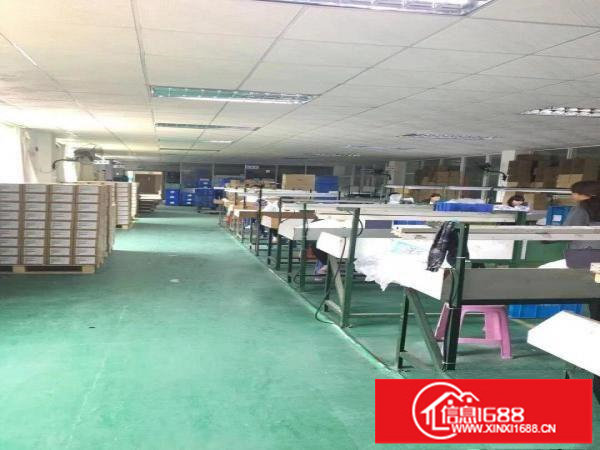 丹竹头地铁口1480平米厂房带精装修免转让费出租