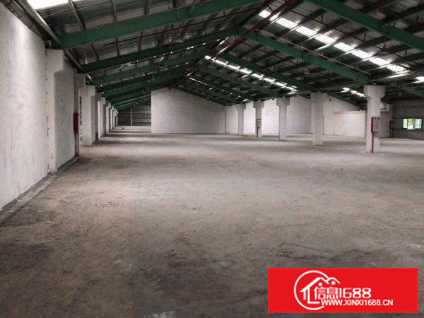 清溪罗马独院全新独院2楼12000平可分租有卸货平台