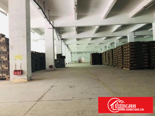 安良惠盐路边一楼420平方5.5米高一楼标准厂房出租