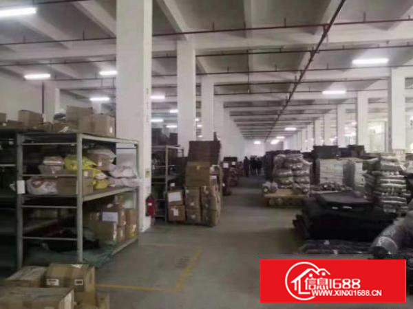 独院厂房一楼2500平方米层高6米出租，实际面积无公摊