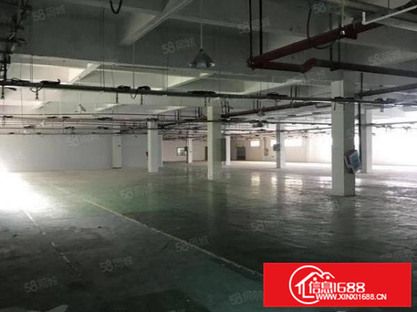 东莞常平新出独院厂房分租楼上950平方出租