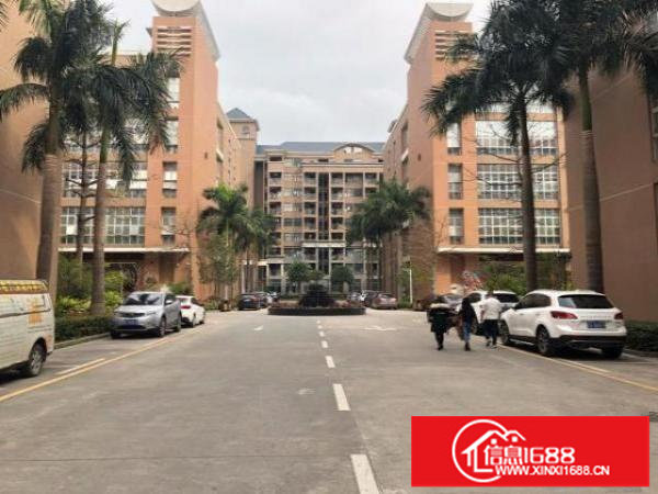 宝龙工业区智能工业园区红本厂房出租