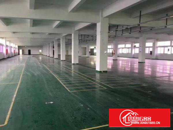 石岩塘头原房东3150平招租<可分租>