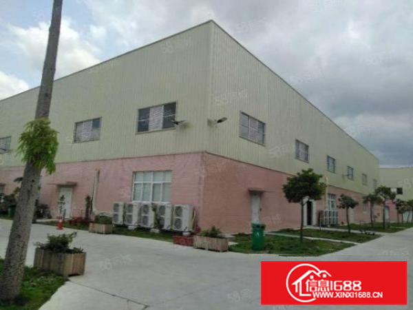 高明更合镇新出全新单一层厂房约12000平方可分割滴水10米