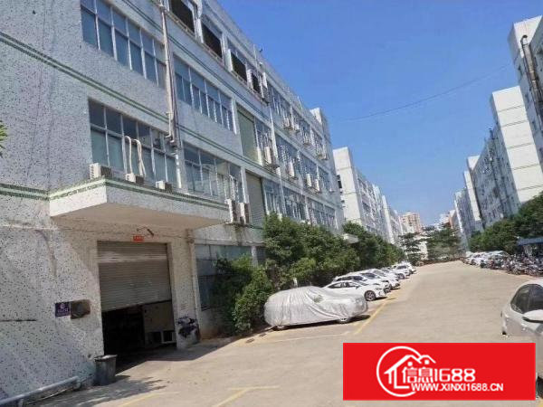 常平土塘新空出工业园内一楼800平方厂房（6米高，实用装修）