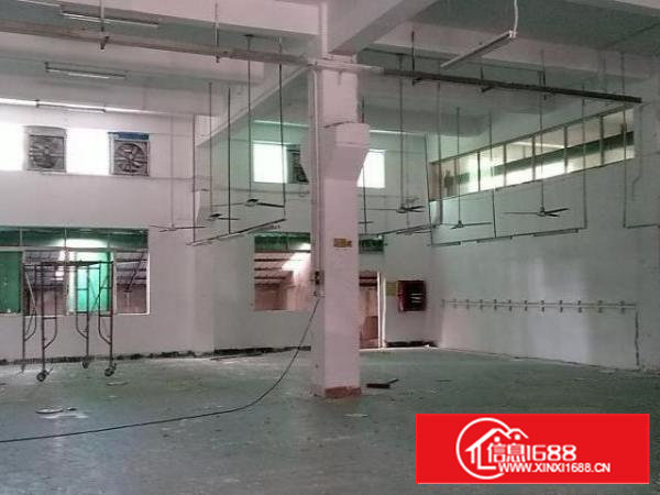 沙井后亭一楼350平米和700平带牛角厂房出租价格30