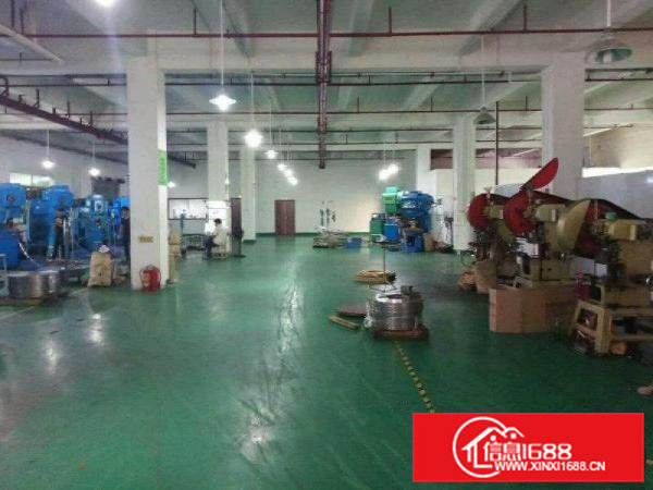 高埗村委招租大小都有合适各种行业