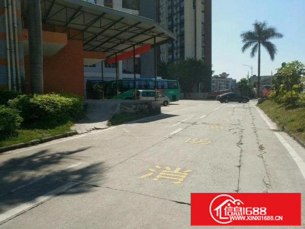 坂田五和办公/厂房出租面积200~1000平米