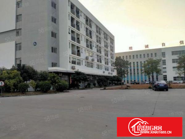 厂房出租大岭山原房东新建独门独院厂房1.8万平方大小可分租