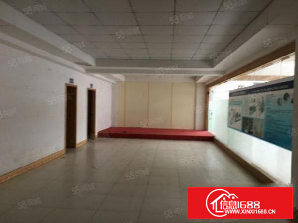 石碣豪华装修厂房出租