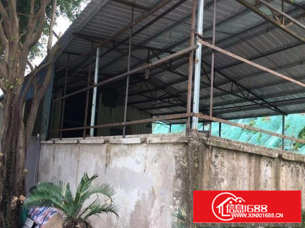 出租龙岗区平湖良安田工业区