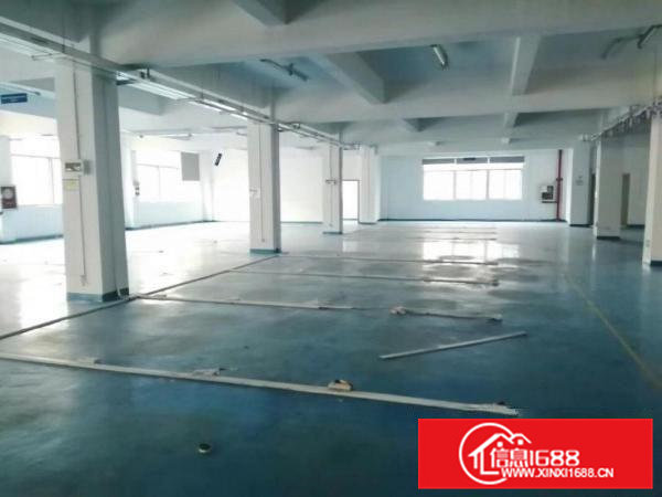 清溪大利新出一楼600平方13元急租可分租